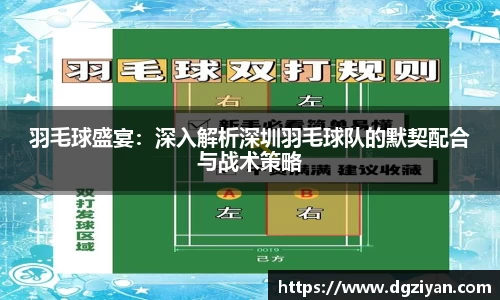 羽毛球盛宴：深入解析深圳羽毛球队的默契配合与战术策略